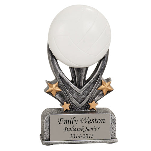 Volleyball Award