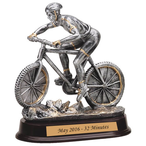 Mountain Bike Award