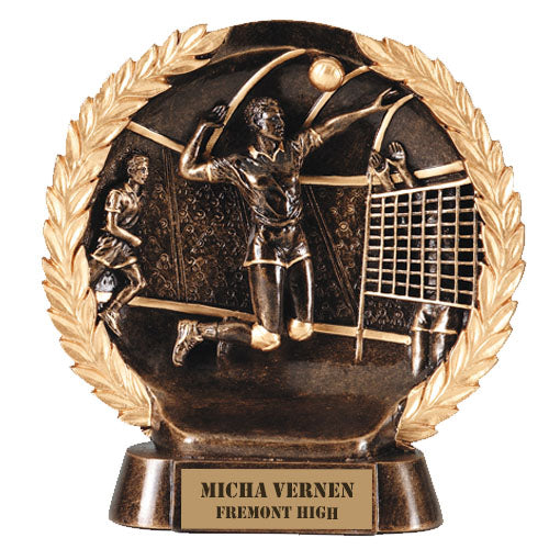 Volleyball Award