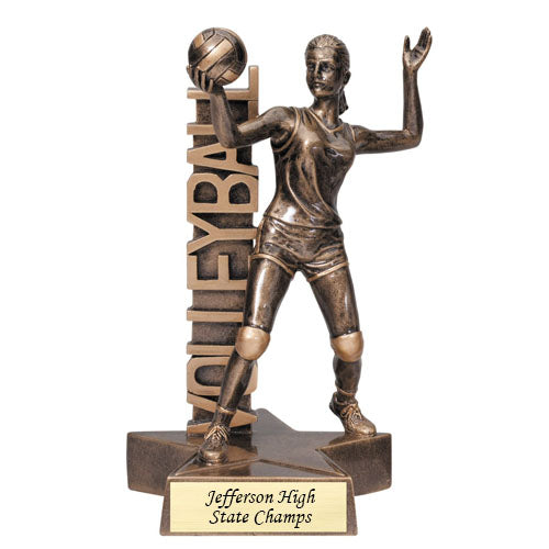 Volleyball Billboard Award