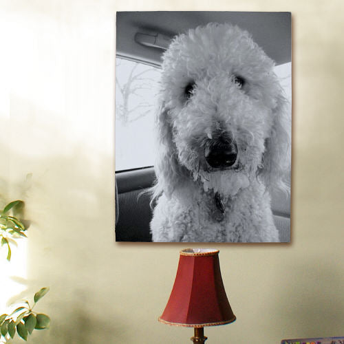 Pet Photo Canvas
