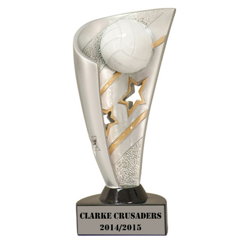Volleyball Banner Award