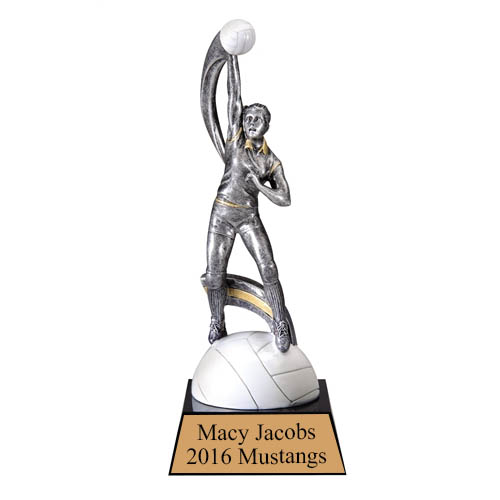 Volleyball Figure Award