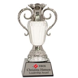 Crystal Silver Cup Award