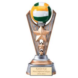 Volleyball Victory Award