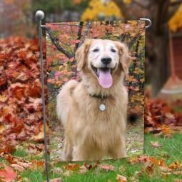 Pet Photo Garden Flag