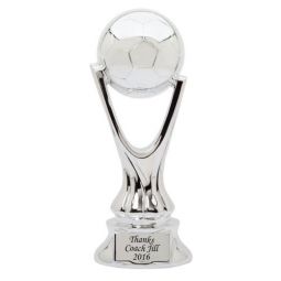 Silver Soccer Award