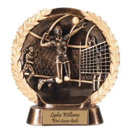 Volleyball Award