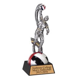 Volleyball Figure Award