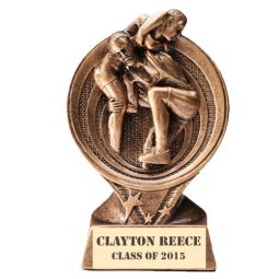 Wrestling Award