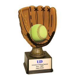 Baseball Glove Award
