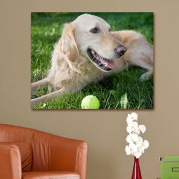 Pet Photo Canvas